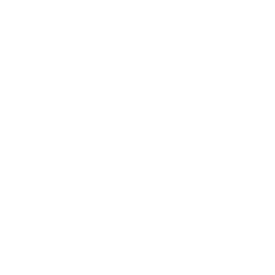 ESFI - International Collaborations