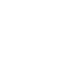 ESFI - Publications & Journals