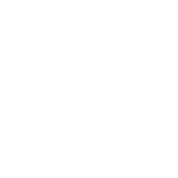 ESFI - Skill Training