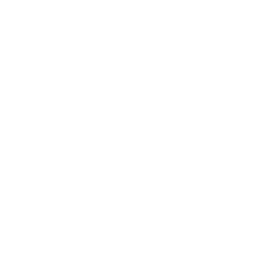 ESFI Social Research