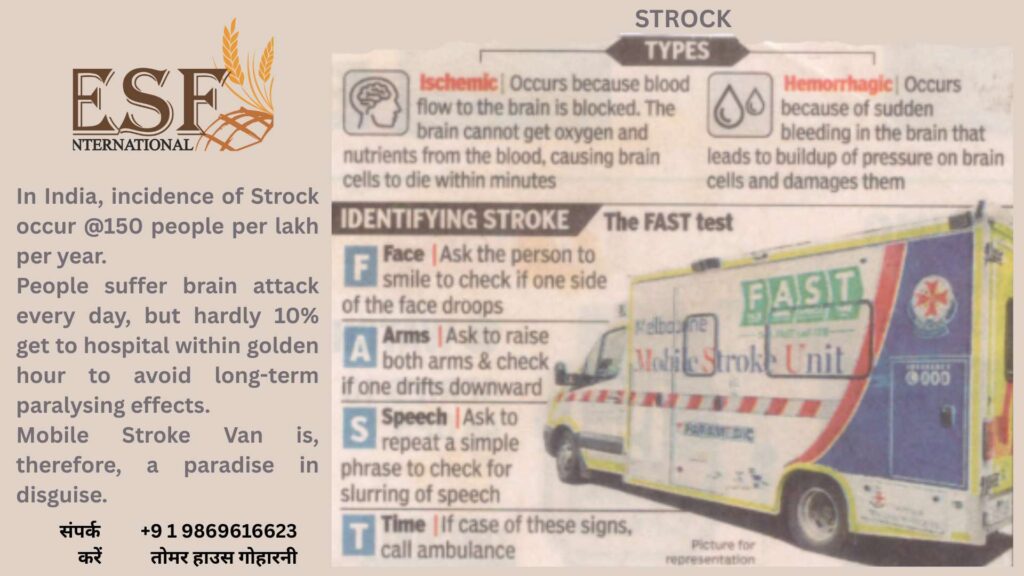 Extension Systems Foundation International (esfi) Strock Types